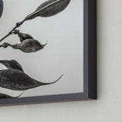 "Organic Pod" - Art Print in Shadow by Pamela Viola - Frame Close-up