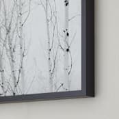 "White Aspens" - Art Print in Black and White by Jessica C Nugent - Frame Close-up