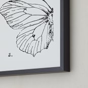 "Moth No. 2" - Art Print in Jet Black by Mere Paper - Frame Close-up
