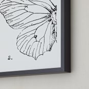 "Moth No. 2" - Art Print in Jet Black by Mere Paper - Frame Close-up