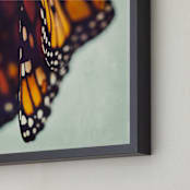 "Monarch Study #5" - Art Print in Monarch Orange by Stacy Kron - Frame Close-up