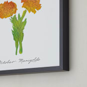"October Marigold" - Art Print in Marigold by Liz Conley - Frame Close-up