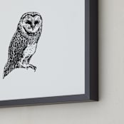 "Chouette" - Art Print in Black by IMG_101 - Frame Close-up
