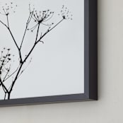 "Graphic Elements of Nature" - Art Print in Black  by Alexis Arnold - Frame Close-up