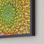 "Mum's the Word" - Art Print in Yellow-Green Mum by Mariecor Agravante - Frame Close-up