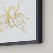 "So Fly" - Art Print in Gold by rose lindo - Frame Close-up