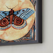 "Moth Study I" - Art Print in Light Blue by Stephanie Toral - Frame Close-up