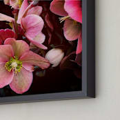 "Spring Noir 3" - Art Print in Blush by Sarah Johnson - Frame Close-up