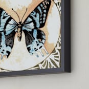 "Butterfly Study I" - Art Print in Light Blue by Stephanie Toral - Frame Close-up