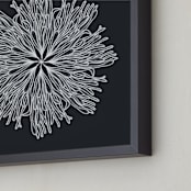 "of the sea (2 of 4)" - Art Print in shark by Leanne Friedberg - Frame Close-up