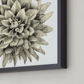 "Graphite Dahlia" - Art Print in graphite by Sonal Nathwani - Frame Close-up