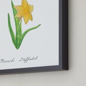 "March Daffodil" - Art Print in Daffodil by Liz Conley - Frame Close-up