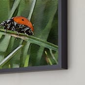 "Lady Bug Two" - Art Print in Green, red, and black by Margaret Williams - Frame Close-up