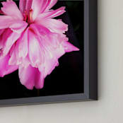 "Spring Noir 4" - Art Print in Pop by Sarah Johnson - Frame Close-up
