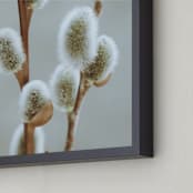 "Fuzzy Catkins" - Art Print in Could grey by Johanna Phillips Huuva - Frame Close-up