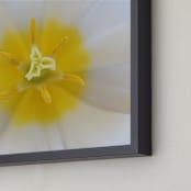 "Sun Inside" - Art Print in yellow by NSMARK - Frame Close-up