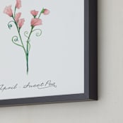 "April Sweet Pea" - Art Print in Blush by Liz Conley - Frame Close-up