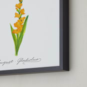 "August Gladiolus" - Art Print in Mango by Liz Conley - Frame Close-up