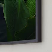 "Spring Noir 8" - Art Print in Jungle by Sarah Johnson - Frame Close-up