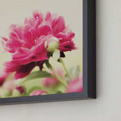 "Stretching Forth" - Art Print in Peony by Erin Niehenke - Frame Close-up