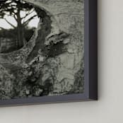 "Knot in the Fence" - Art Print in Black and White by Mechelle Gilford - Frame Close-up