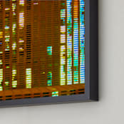 "Windows Data" - Art Print in Ruddy Brown by Jeff Preuss - Frame Close-up