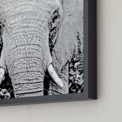 "mr ELEPHANT" - Art Print in elephant gray by Gail Schechter - Frame Close-up
