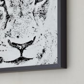 "mr LION" - Art Print in black and white by Gail Schechter - Frame Close-up