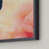 "sherbet rose" - Art Print in peach sherbet by Niki Digrigorio - Frame Close-up