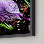 "Spring Noir 1" - Art Print in Deep Purple by Sarah Johnson - Frame Close-up