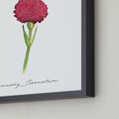 "January Carnation" - Art Print in Wine by Liz Conley - Frame Close-up
