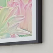"Spumoni Cream Petals" - Art Print in Spumoni Pink by Mariecor Agravante - Frame Close-up