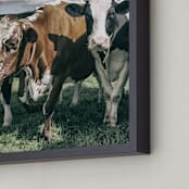 "Three Cows" - Art Print in rusty brown by Alexis Arnold - Frame Close-up
