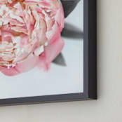 "Tatiana peony" - Art Print in Blush by Rosana Laiz Blursbyai - Frame Close-up