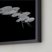 "Free-floating" - Art Print in Ebony by Johanna Phillips Huuva - Frame Close-up