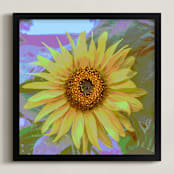 "Sunflower" - Art Print in sunflower yellow by Gail Schechter - Framed
