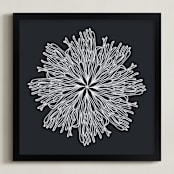 "of the sea (2 of 4)" - Art Print in shark by Leanne Friedberg - Framed