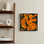 "A Pop of Poppies" - Art Print in California Poppy by Mechelle Gilford - In a Room