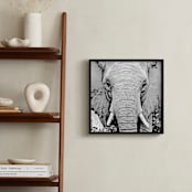 "mr ELEPHANT" - Art Print in elephant gray by Gail Schechter - In a Room