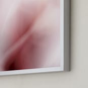 "ginger" - Art Print in rose by Sarah Luna - Frame Close-up