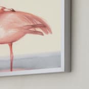 "Soft Hued Flamingo" - Art Print in Tropics by Tracy Ann - Frame Close-up