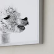 "Happy Alpaca" - Art Print in White by Jessie Steury - Frame Close-up