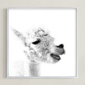 "Happy Alpaca" - Art Print in White by Jessie Steury - Framed