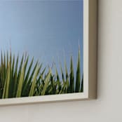 "Summer Fringe" - Art Print in California Sky Blue by studio SYLVO - Frame Close-up