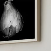 "Heartbreak Shallot 3" - Art Print in Black and White by AMANDA LOMAX - Frame Close-up
