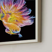 "Betta World" - Art Print in Sunburst Yellow Gold by Mariecor Agravante - Frame Close-up