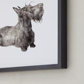 "Scottie" - Art Print in Black by Lauren Rogoff - Frame Close-up