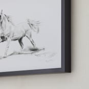 "Horse Study 3" - Art Print in original charcoal by Ramnik Velji - Frame Close-up