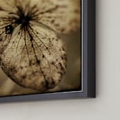 "Winter #1" - Art Print in Sepia by Lynn Lehto - Frame Close-up