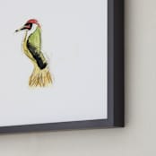 ""Wild Thing" Bird" - Art Print in Golden by Mande Calhoun - Frame Close-up